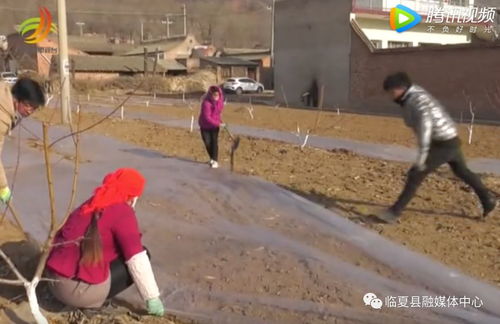 大连湾疫情最新动态，防控措施升级，市民生活有序调整